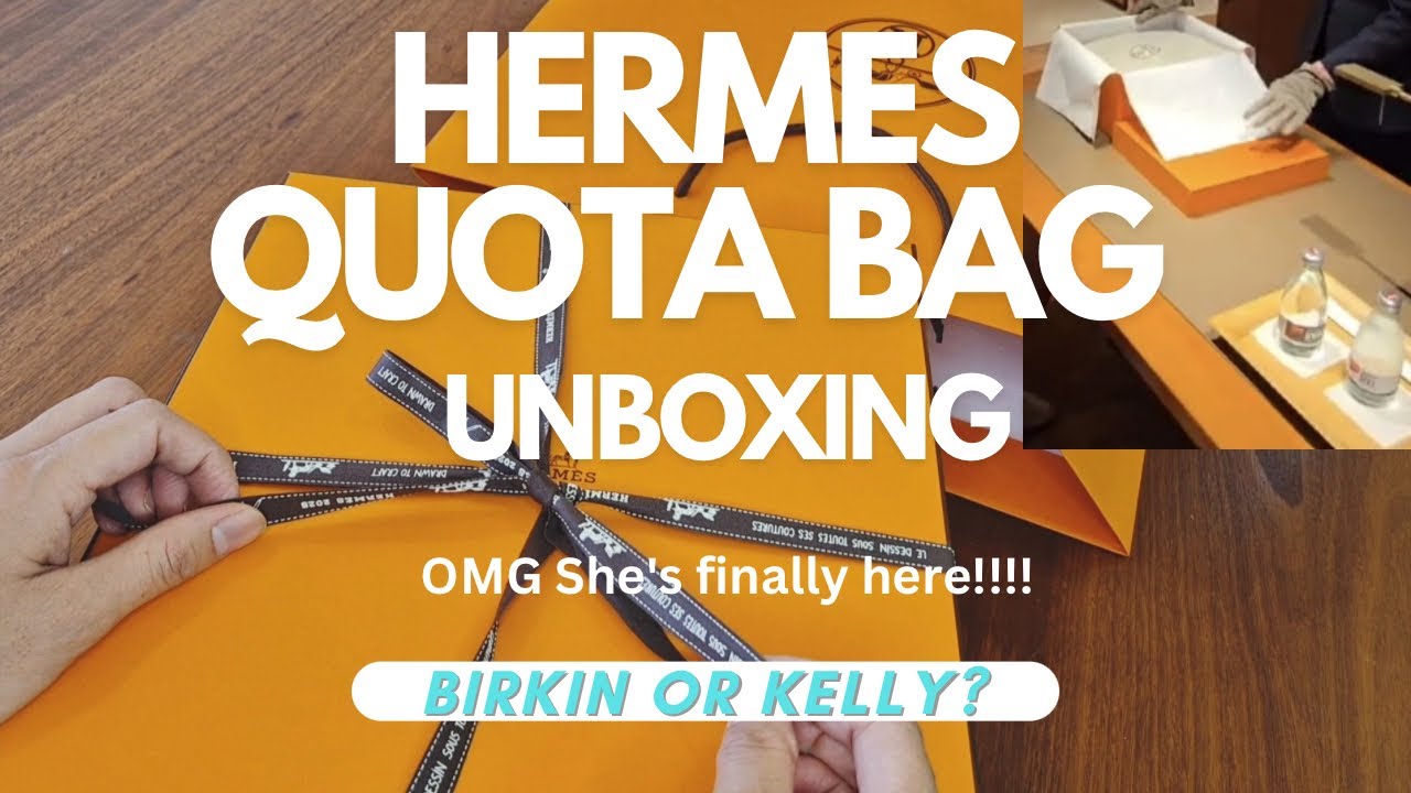 My Hermes Quota Bag is Here! Birkin or Kelly? Story Time - How I Misunderstood My SA!