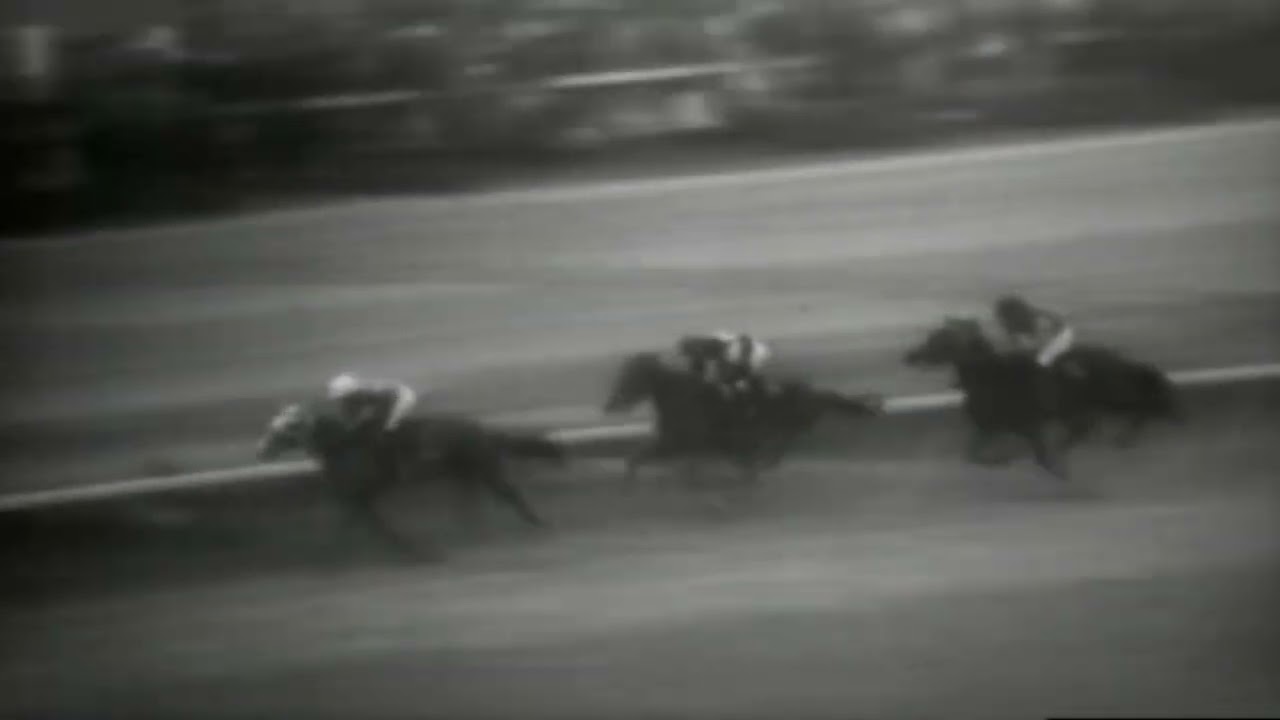 1969年　天皇賞・春　タケシバオー