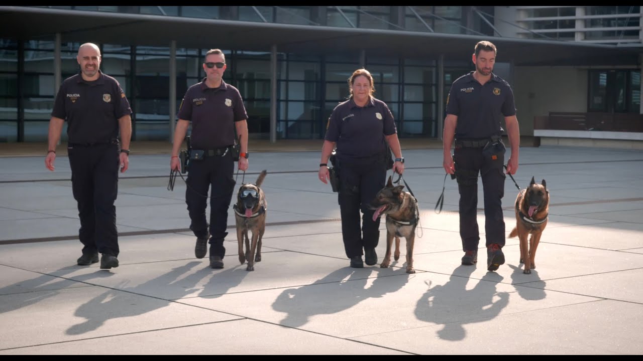 #vínculosquedanvida (8) - Unidad Canina Mossos Esquadra