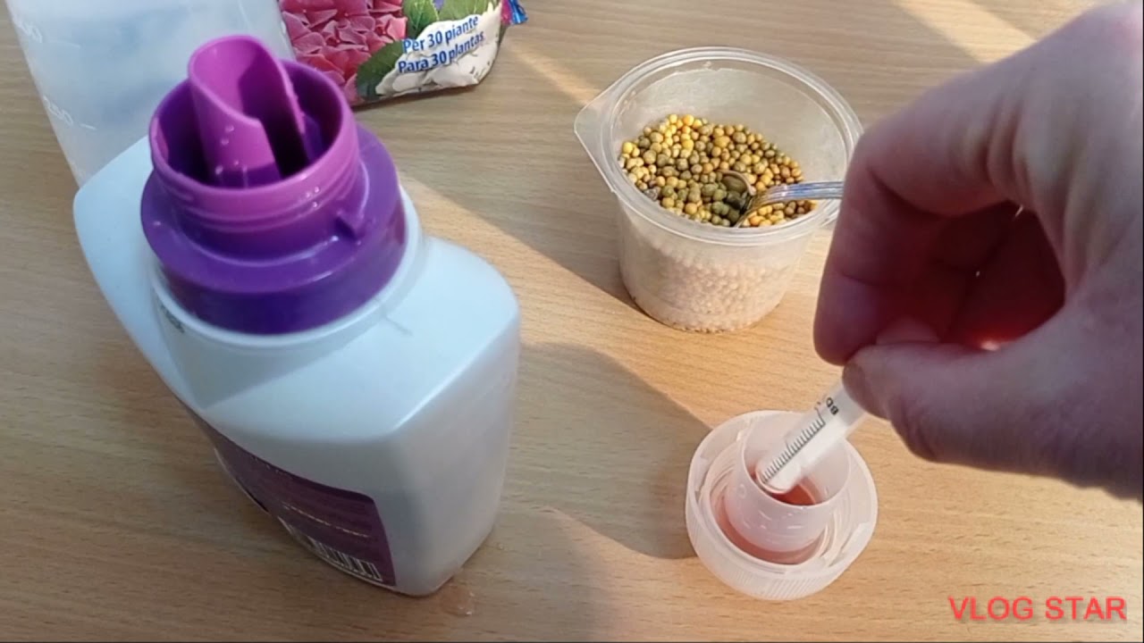 ASÍ FERTILIZO MIS ORQUÍDEAS, FACILÍSIMO ( 2° PARTE ).