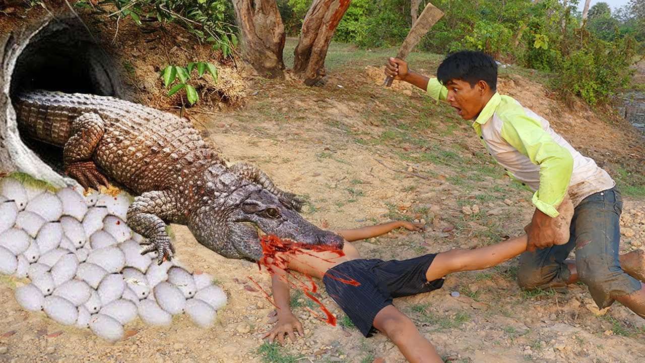 Primitive Technology: Boy Make Crocodile Trap - How To Make Big Crocodile Trap Using Bamboo (100%)