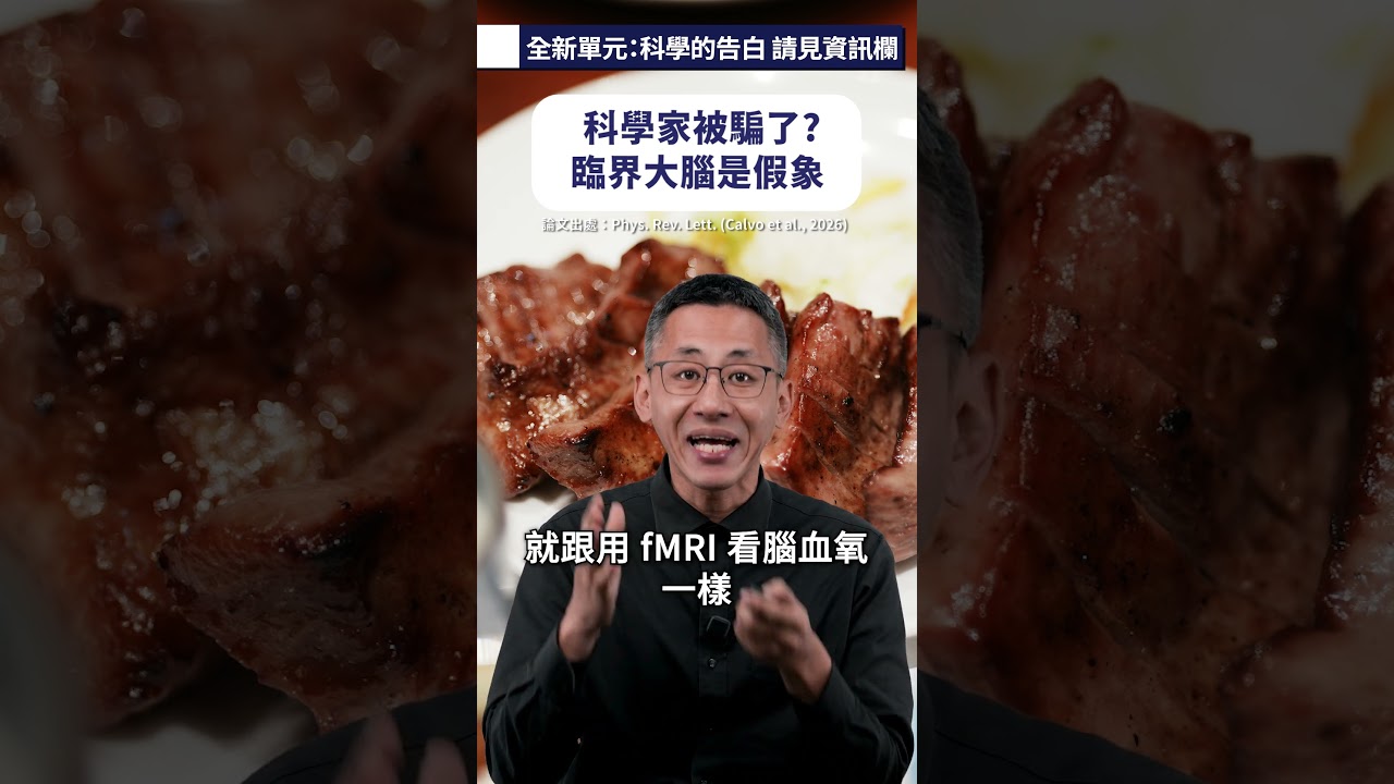 科學家被騙了？臨界大腦是假象