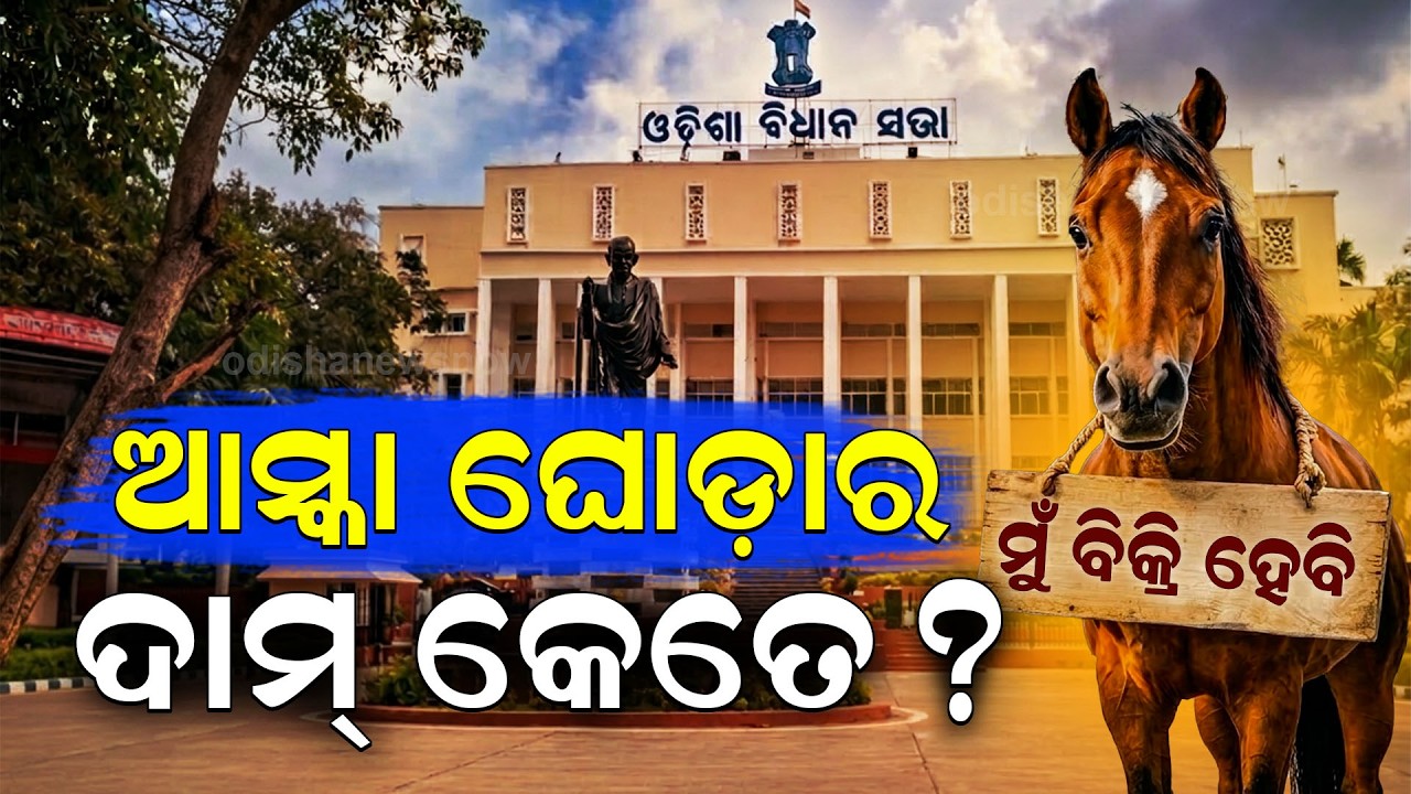 ଆସ୍କା ଘୋଡ଼ାର ଦାମ୍ କେତେ?Horse Trading Allegations Rock Aska MLA Vote Debate Rajya Sabha Election 2026
