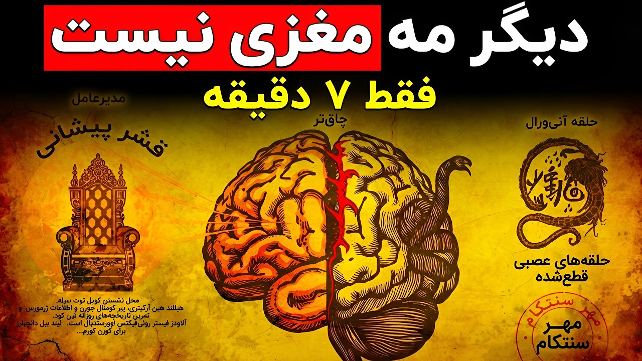 نوروساینس یا جادو؟ پروتکل ۷ دقیقه‌ای برای تغییر فیزیکی مغز