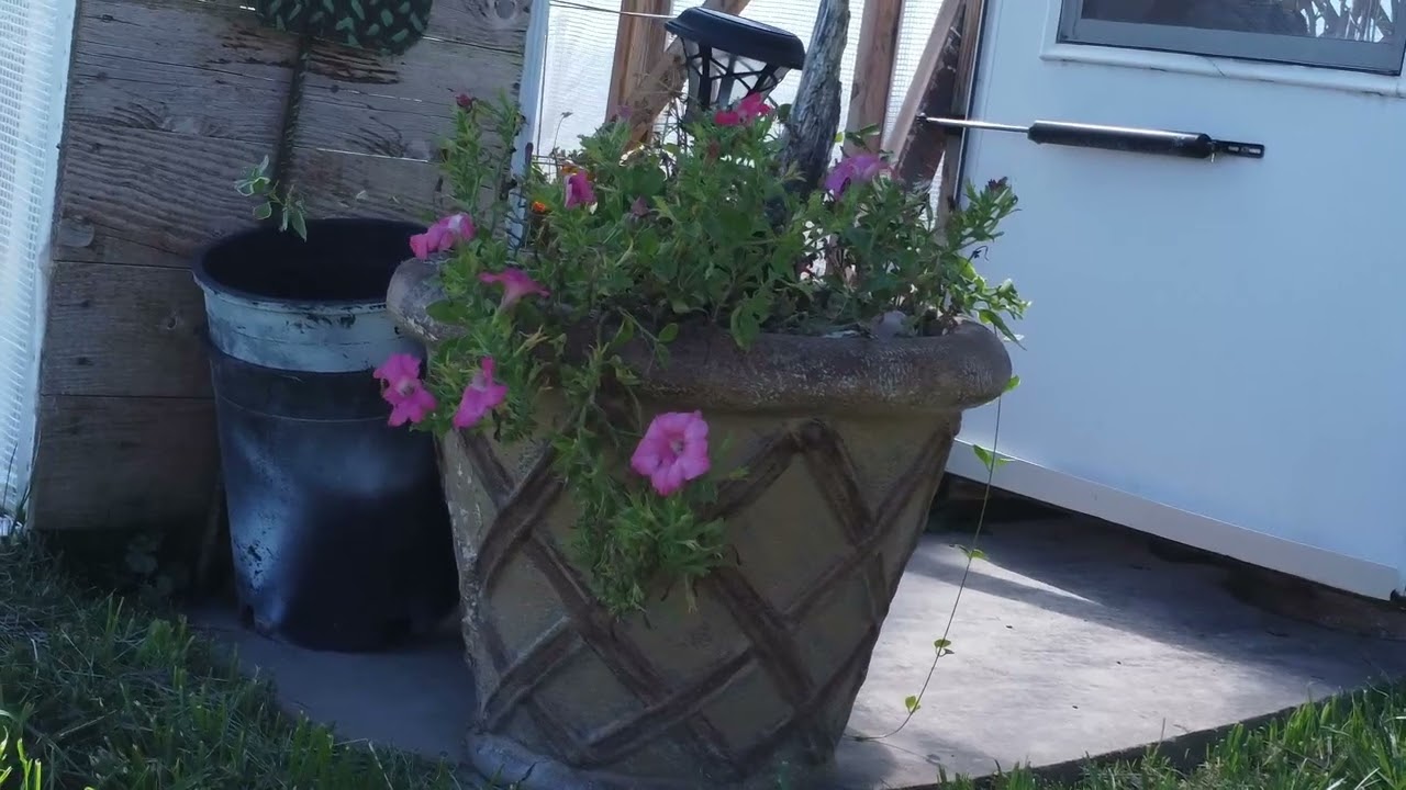 GiGi's Garden
