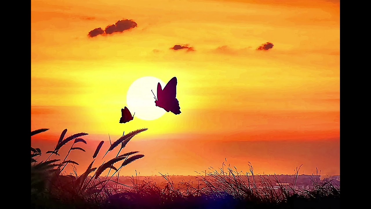 Farid Farjad - Goftegoo Track 01 #faridfarjad  #azerbaijan 