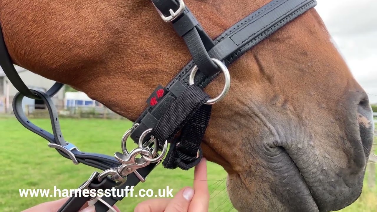 Zilco Sidepull Bridle