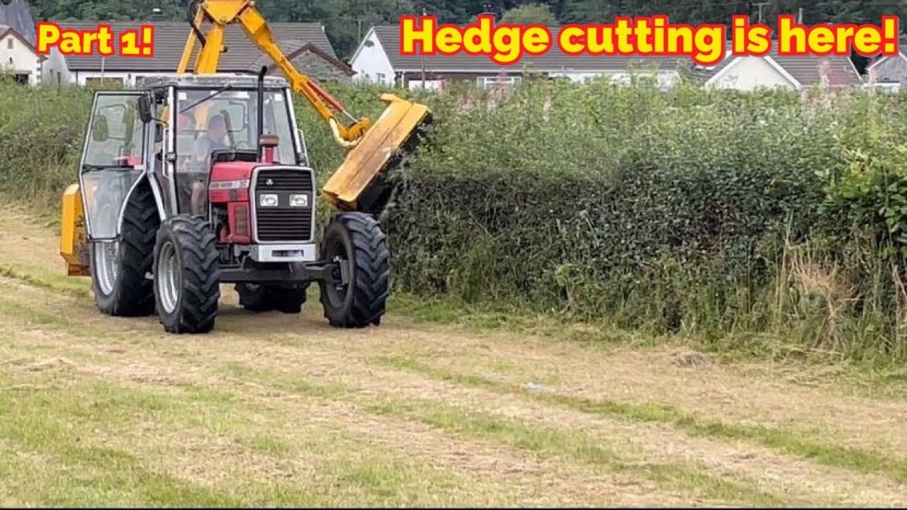 Hedge cutting 2021 is a go~Time to cut some bush with the Massey 390 turbo and twose hedge cutter!