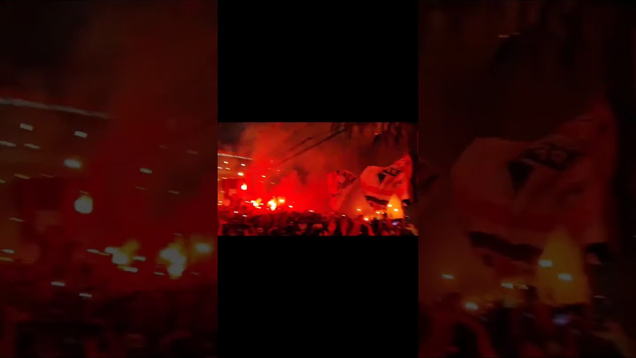 #morumbi #torcidatricolor