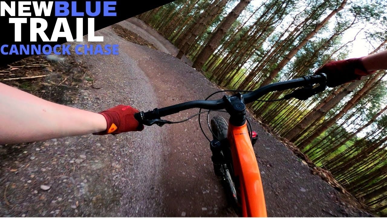 NEW Blue Trail at Cannock Chase