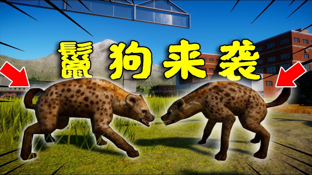 Planet zoo动物园之星36：鬣狗来袭，把之前的主人吃穷后，逃难过来的