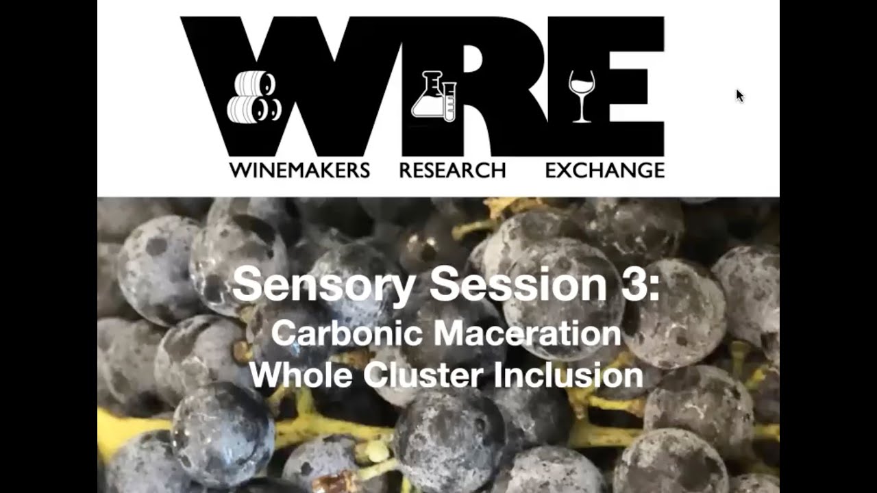 March 4, 2021: Carbonic Maceration/Whole Cluster Inclusion