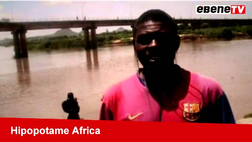 Hippopotame Africa-Garoua