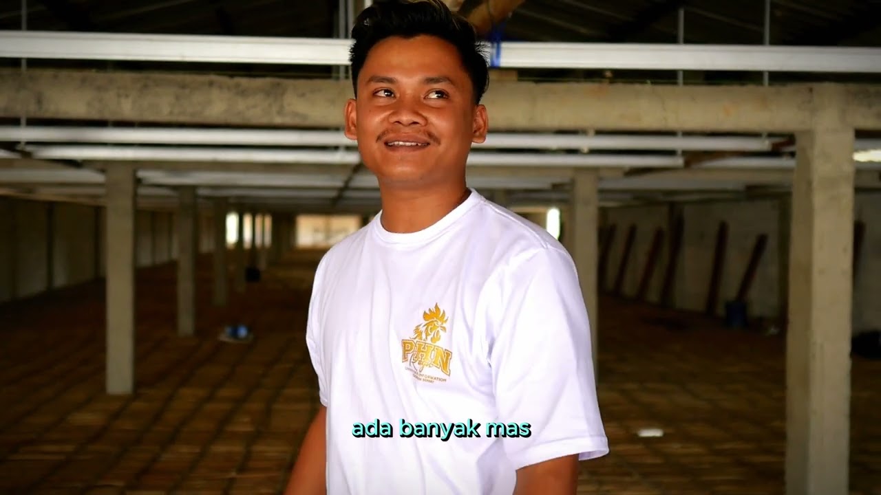 Bangun Kandang 12x80 full cor kombinasi besi