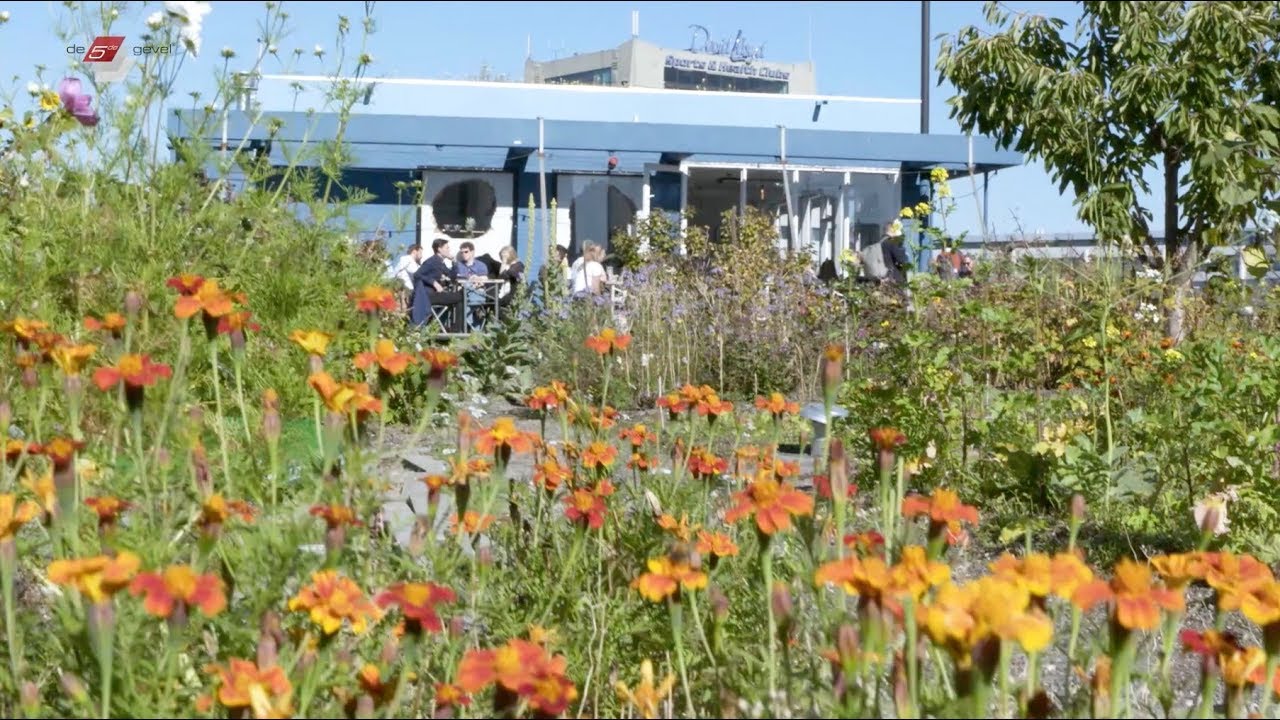 Optigrün - Slimdak op de DakAkker in Rotterdam
