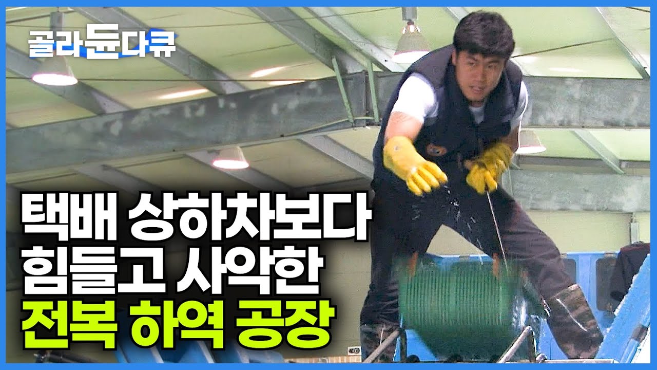 전복 초대량 10톤! 700박스 장비 없이 맨몸으로 수조에 나르는 수산물 하역 작업│싱싱한 완도 전복이 식탁에 오르는 과정│국내 최대 규모 전복 수조 공장│극한직업│#골라듄다큐