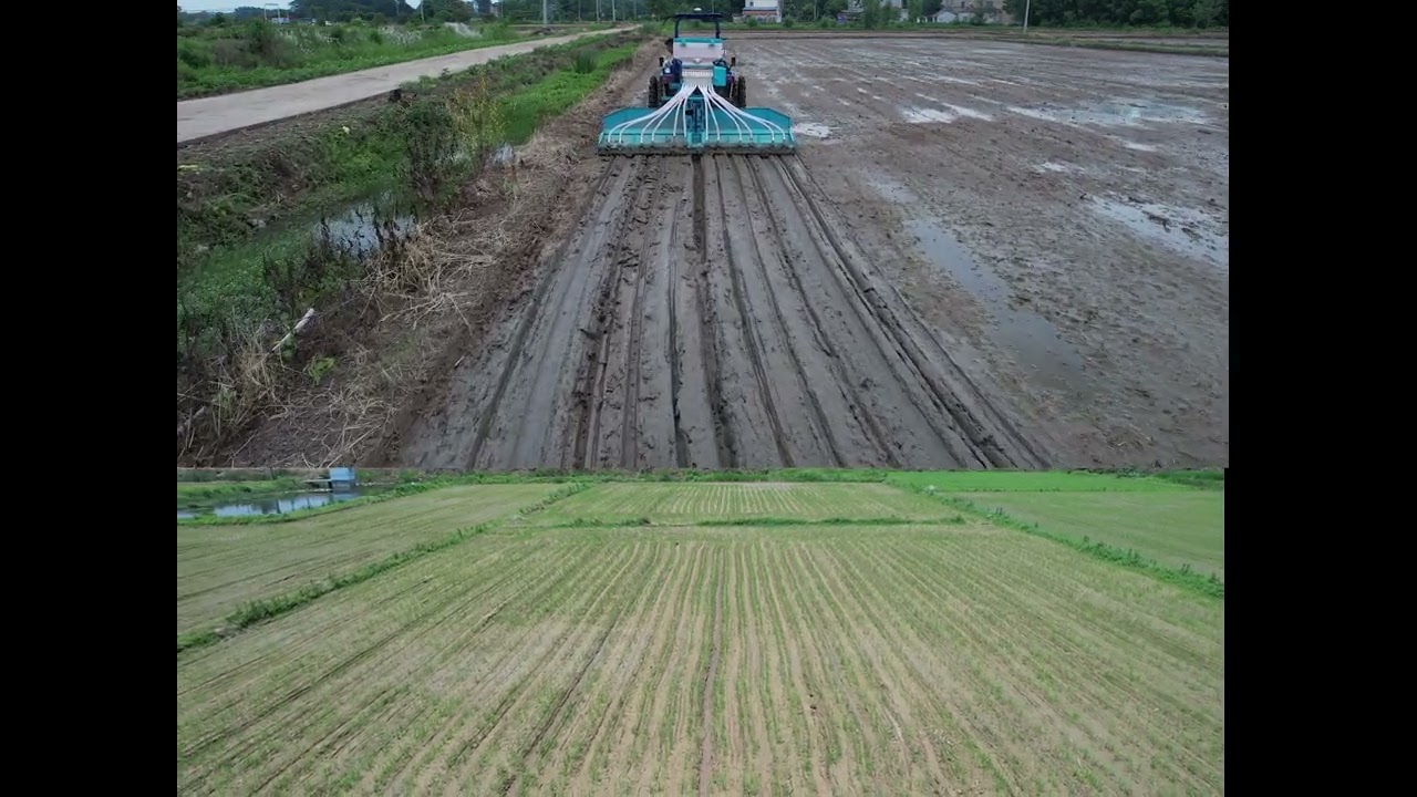 YONGXIANG DSR seeder makes your farming intelligent and precise