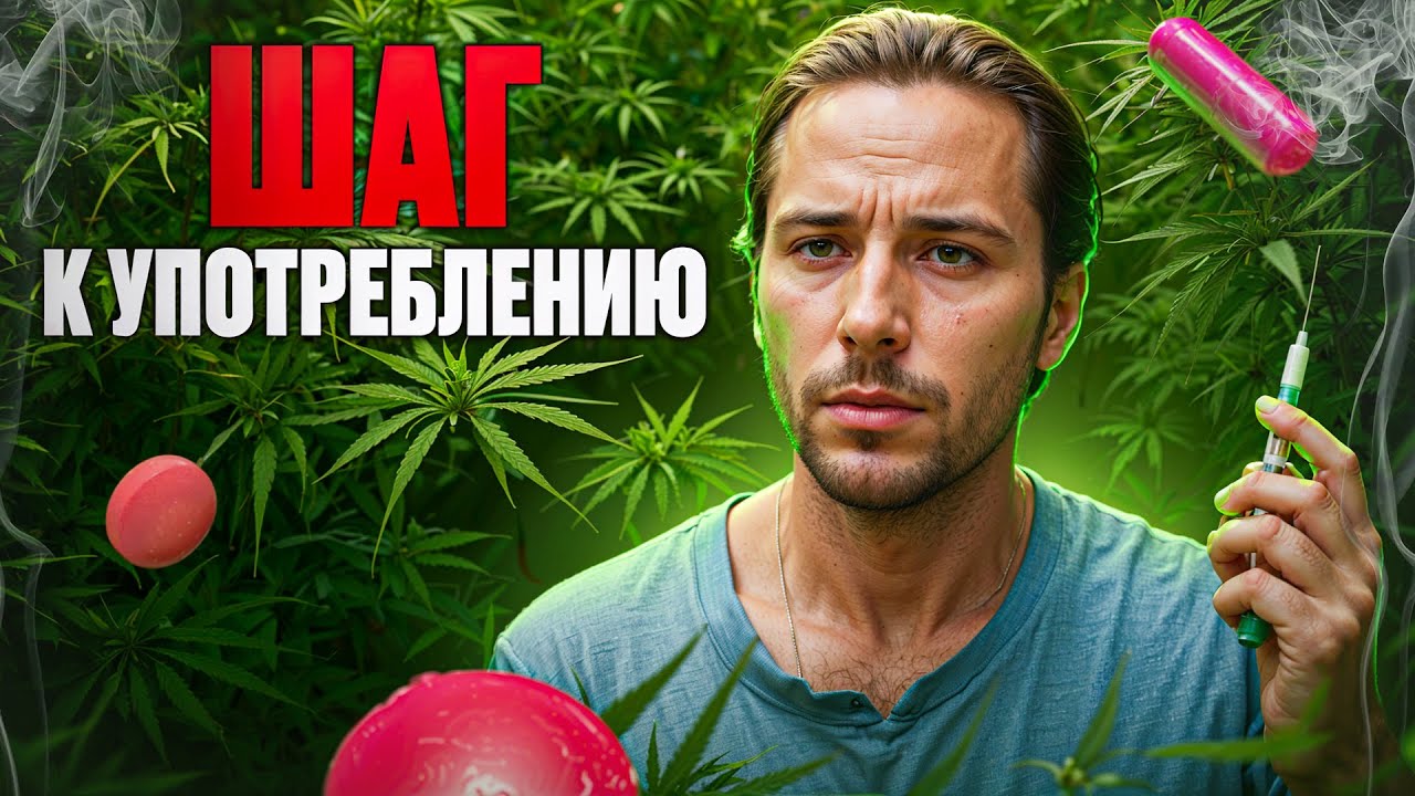 Опиаты | Каннабис | Первое употребление | Превращение в животного |