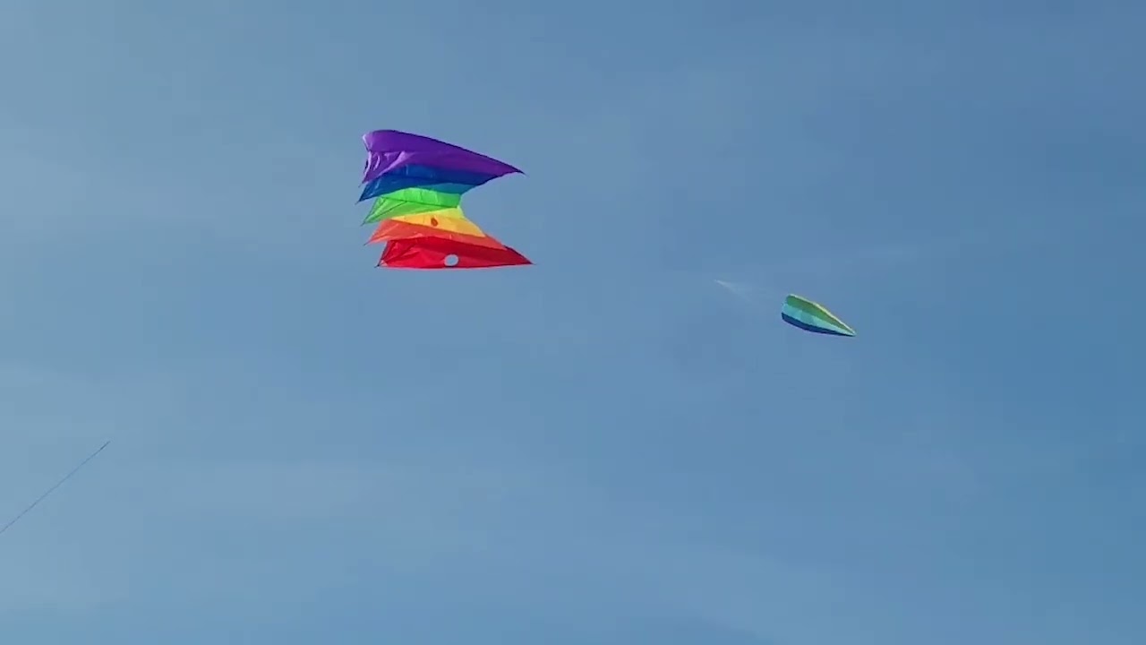 foggy fly