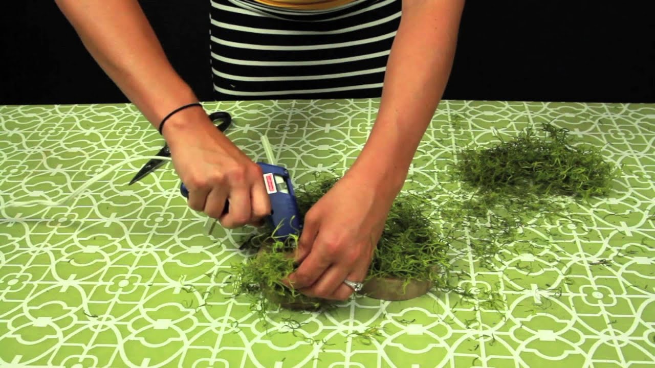 How to Make Moss Letters