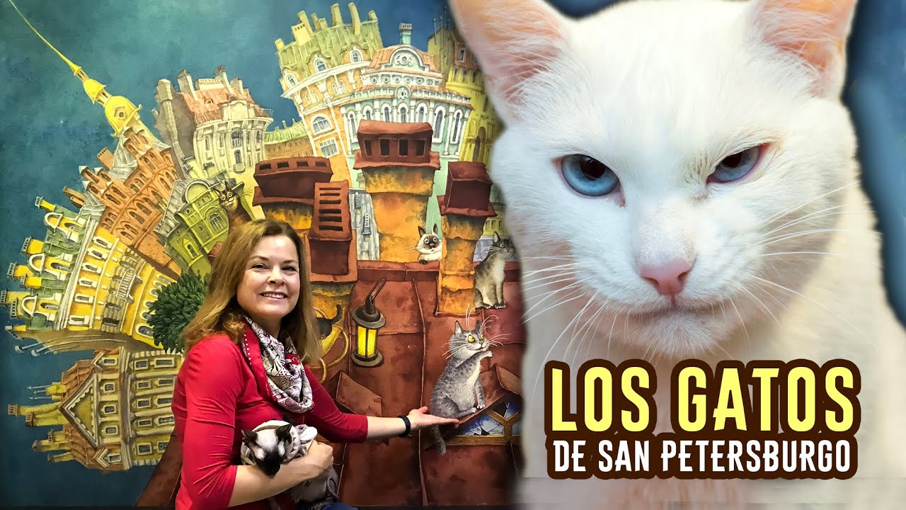 Los gatos de San Petersburgo. St. Petersburg cats. Петербургские коты.