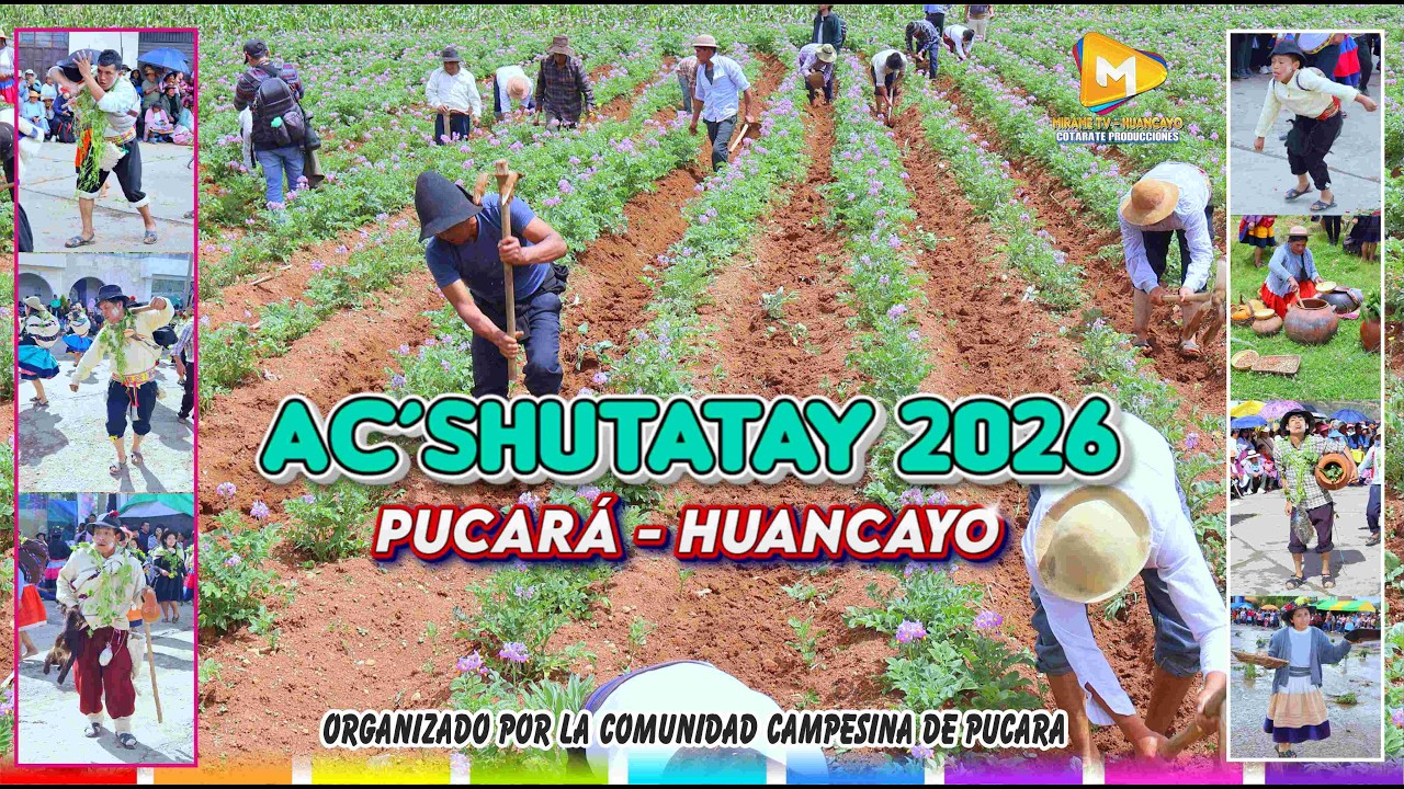 ACSHU TATAY - PUCARA 2026 // COMUNIDAD DE MARCAVALLE