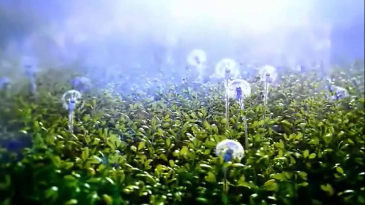 تلاوة رائعة من صلاة الترويح 2013 بصوت الشيخ مراد دبياش مسجد التوبة حيدرة الجزائرالعاصمة