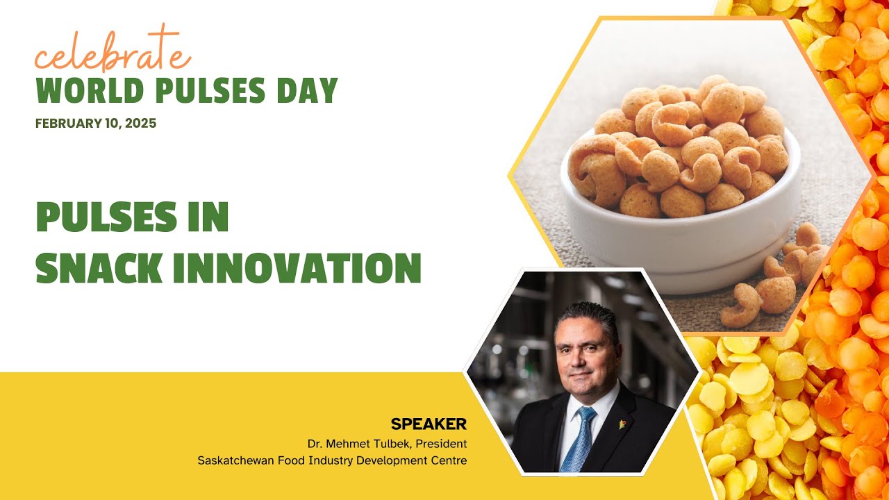 Power of Pulses in Sustainable Snacking Innovations