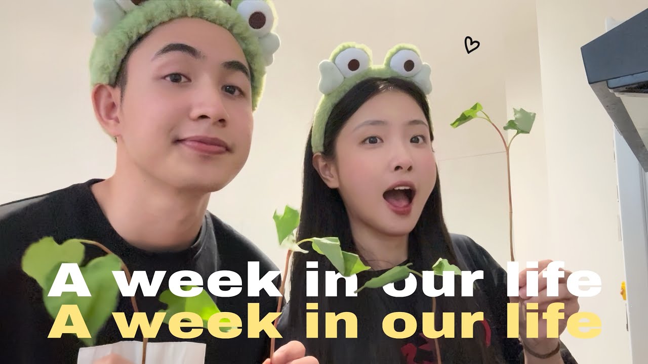 [daily vlog] a week in our life 🦦 cozy vlog in paris | bạch lưu dương