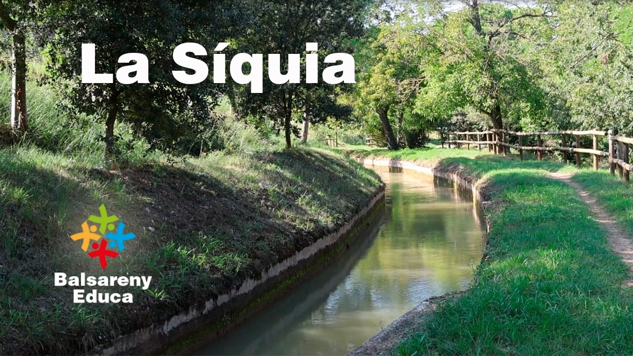 La Síquia