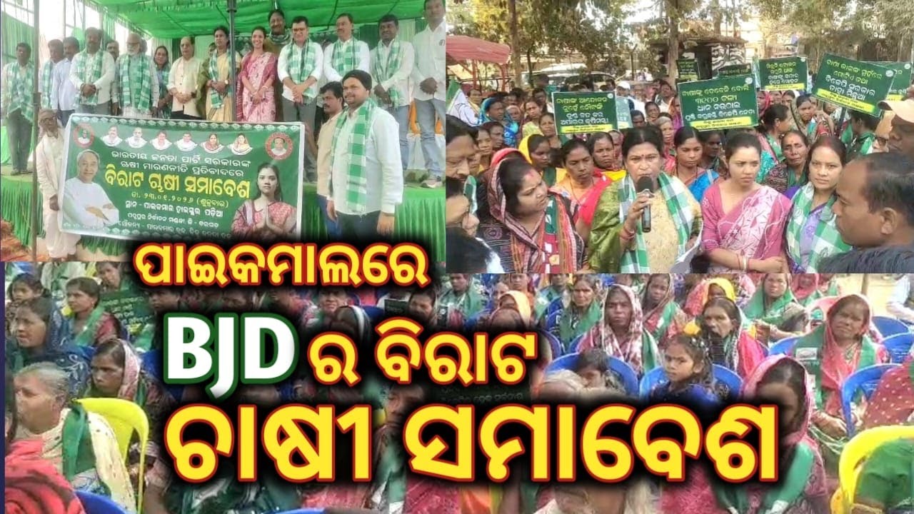 ବିଜେପି ସରକାରର ଚାଷୀ ମାରଣ ନୀତି ବିରୁଦ୍ଧରେ ବିଜେଡ଼ିର ପାଇକମାଳରେ ବିରାଟ ଚାଷୀ ସମାବେଶ #bargarh #bjd #paikmal