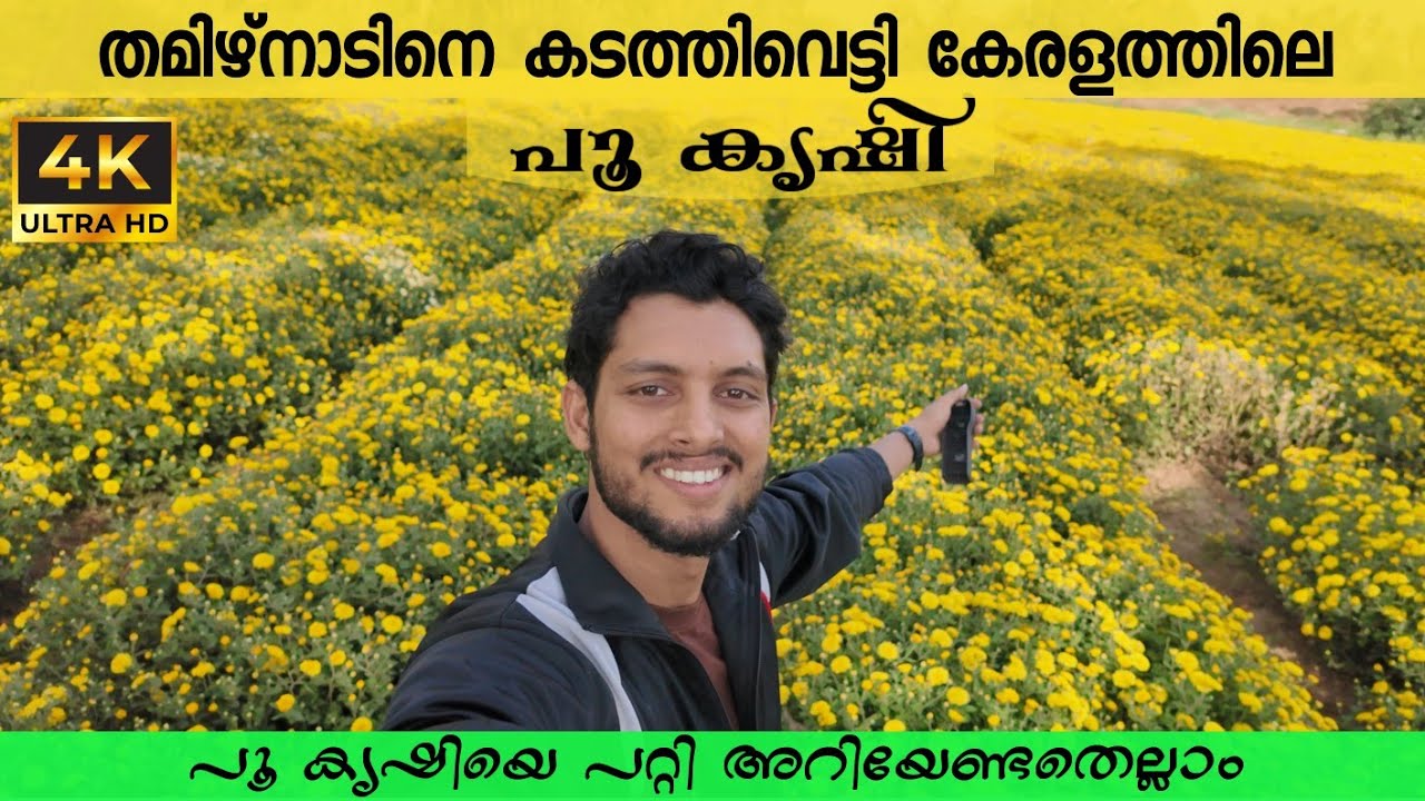 പൂക്കൃഷി എങ്ങനെ ലാഭകരം ആകാം😍| Pookrishi kerala| Flower farming| Travelling gene