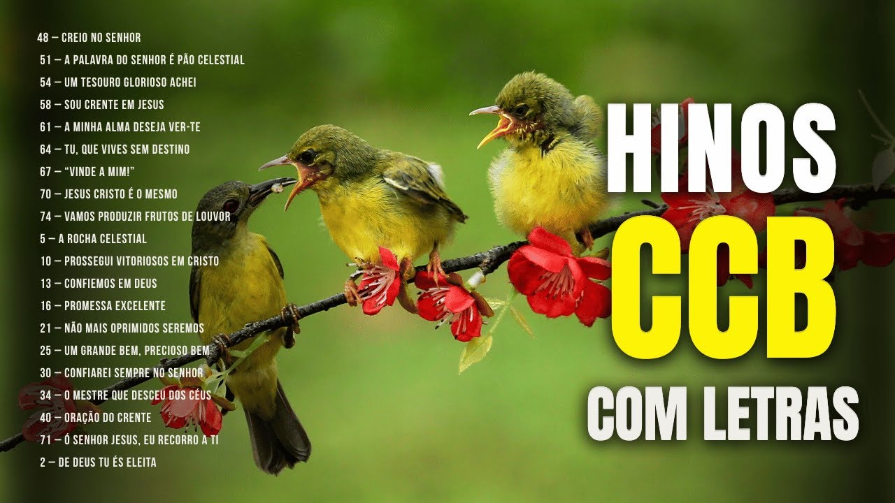 HINOS CCB COM LETRAS | QUE DESCEM FOGO DO CÉU | ARREPIAM ATÉ A ALMA | #hinosccb #ccbhinos