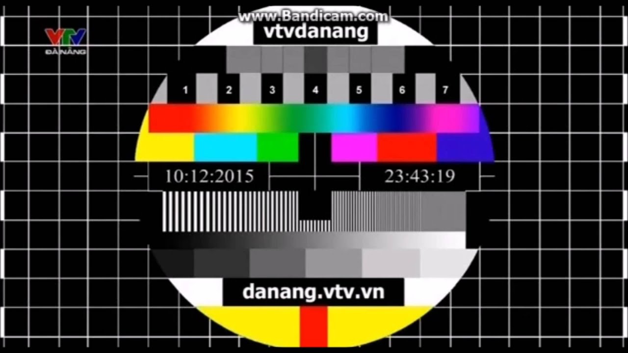 VTV8