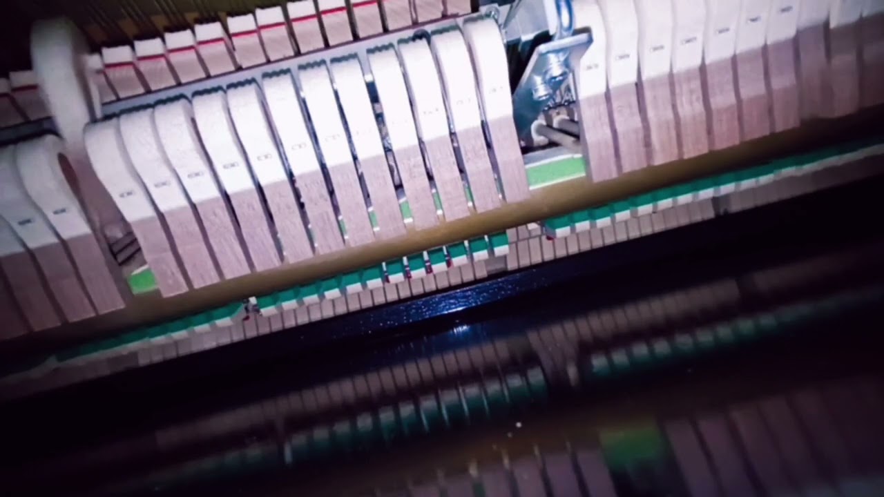 i can't hear the notes kaori