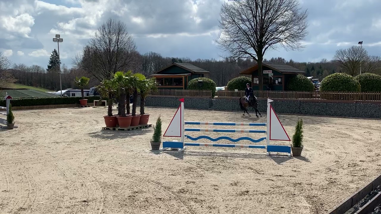 Hötzenhof Kenai by Kannan x Numero Uno, 5 years old