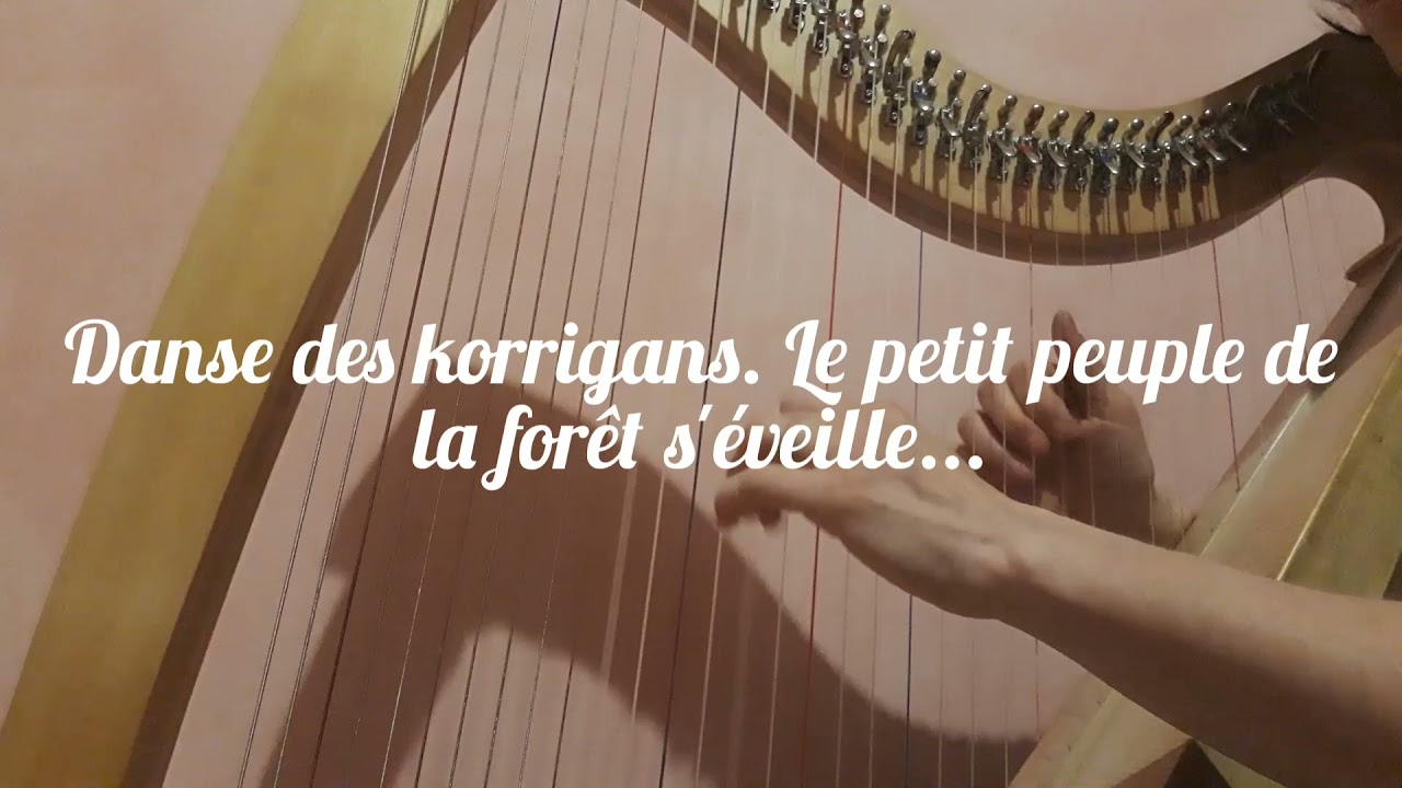 broceliande niveau 4