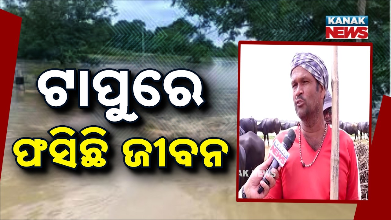 Odisha Flood Update | Tarasahi Island Cut Off as Devi River Swells