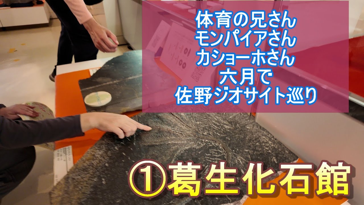 【体育の兄さん】【カショーホのゆるいチャンネル】栃木県佐野市「葛生化石館」【ジオサイト】