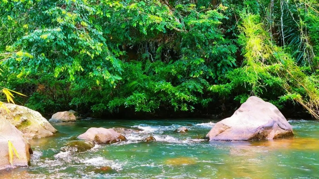 Pure Flowing River Sounds 🍃 Nature White Noise for Focus