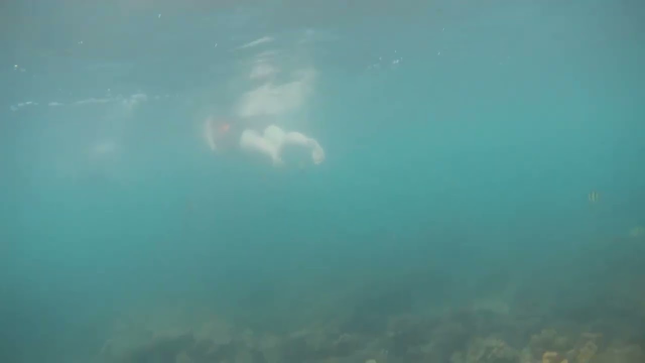 4 Islands Snorkeling - Krabi