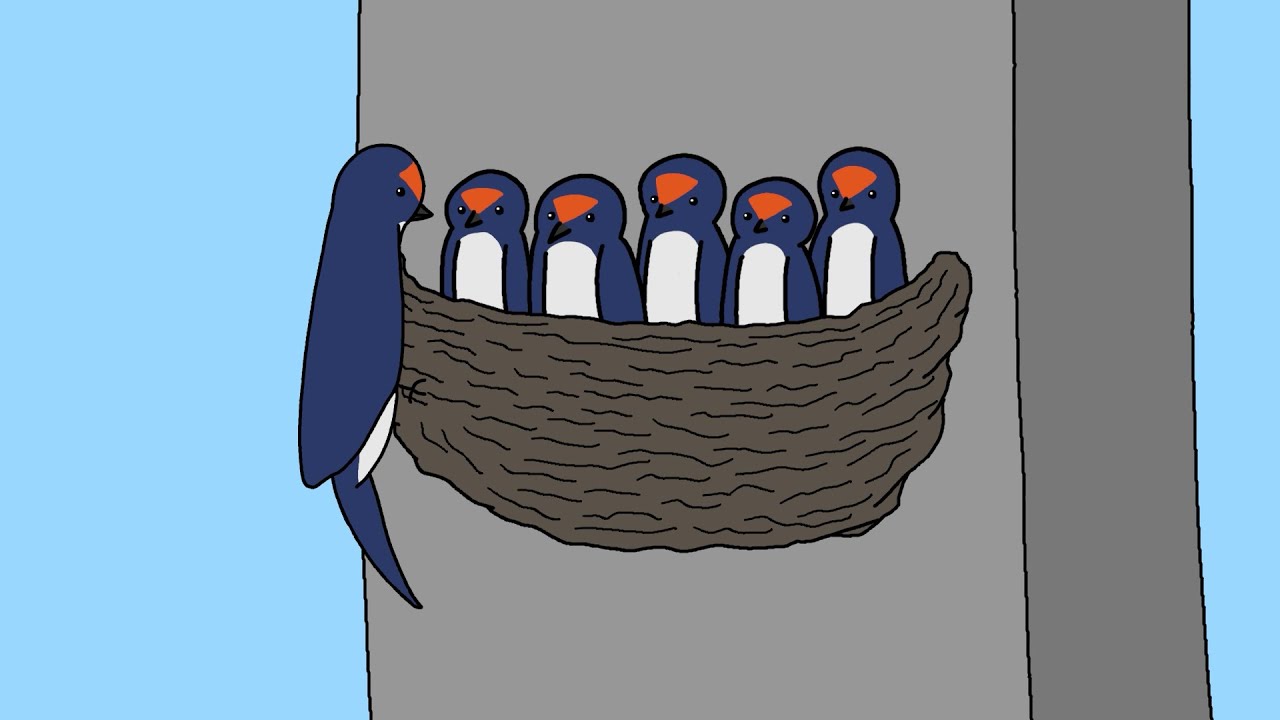 ツバメ