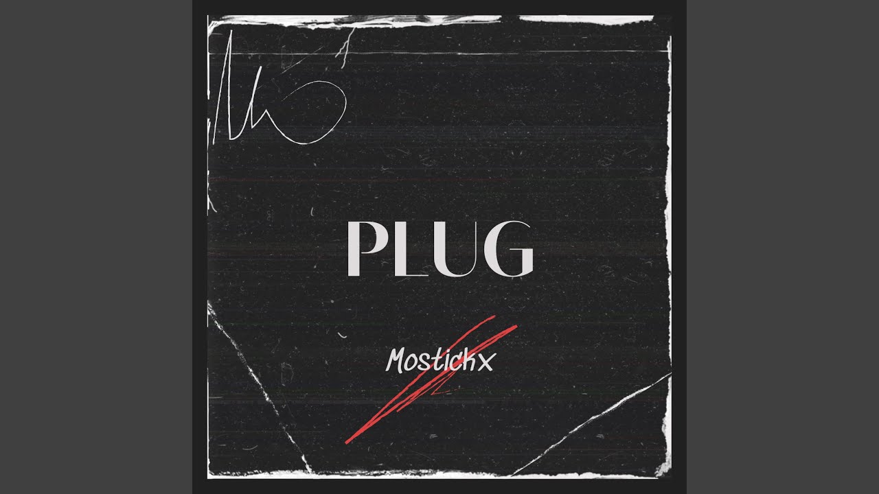 Plug