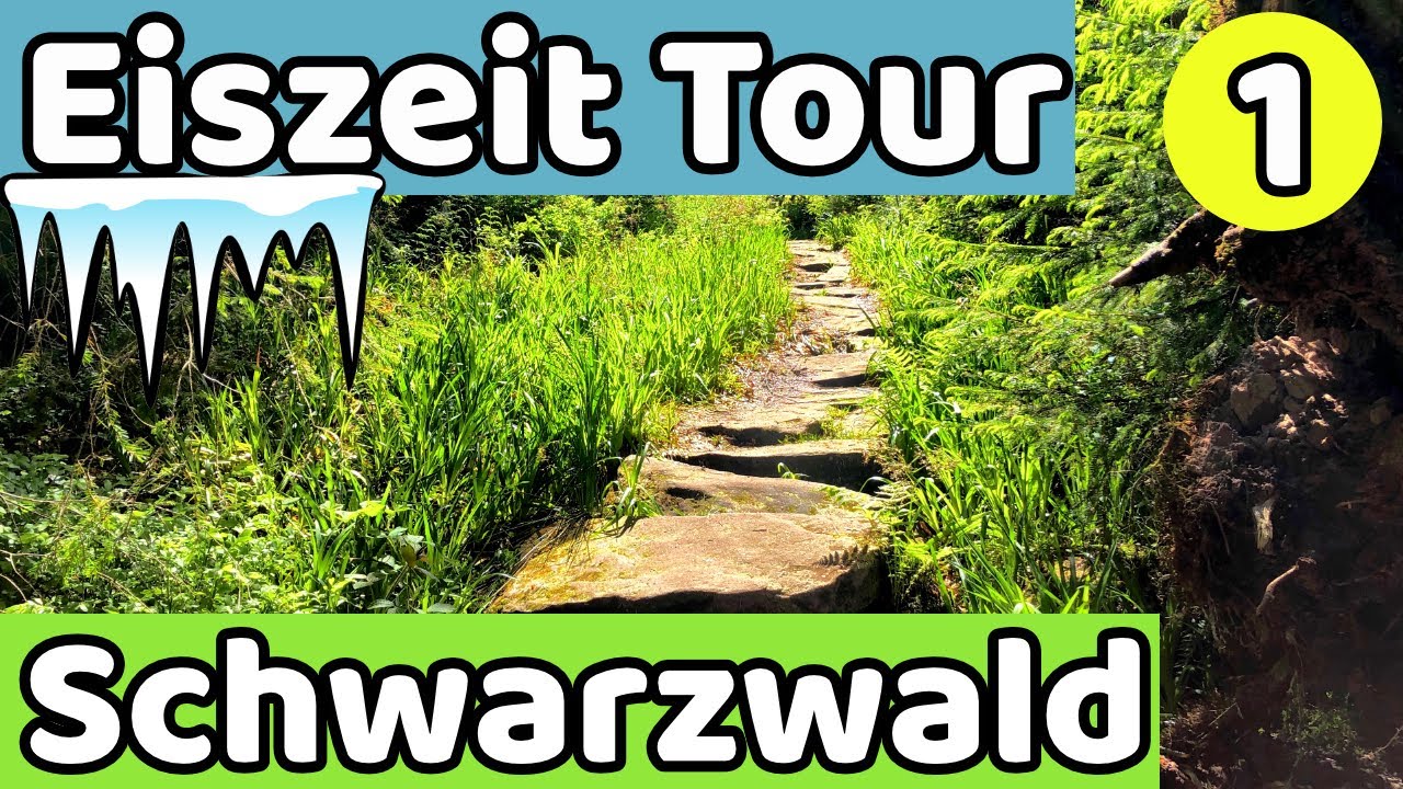 Eiszeittour #1 | Bezaubernder See 😍| Wandern im Schwarzwald | Traumpfad