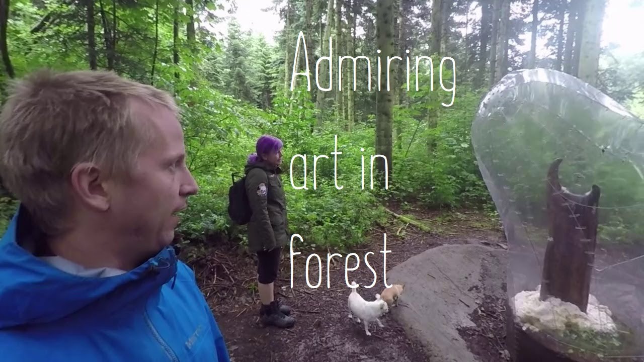 Skovsnogen - Deep Forest Artland