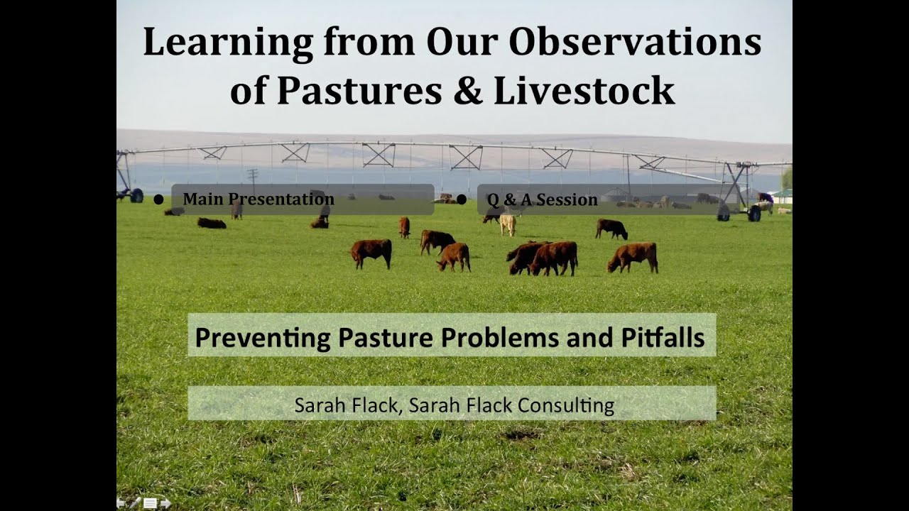 Preventing Pasture Problems on the Organic Dairy