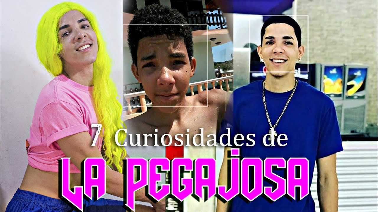 LA PEGAJOSA 