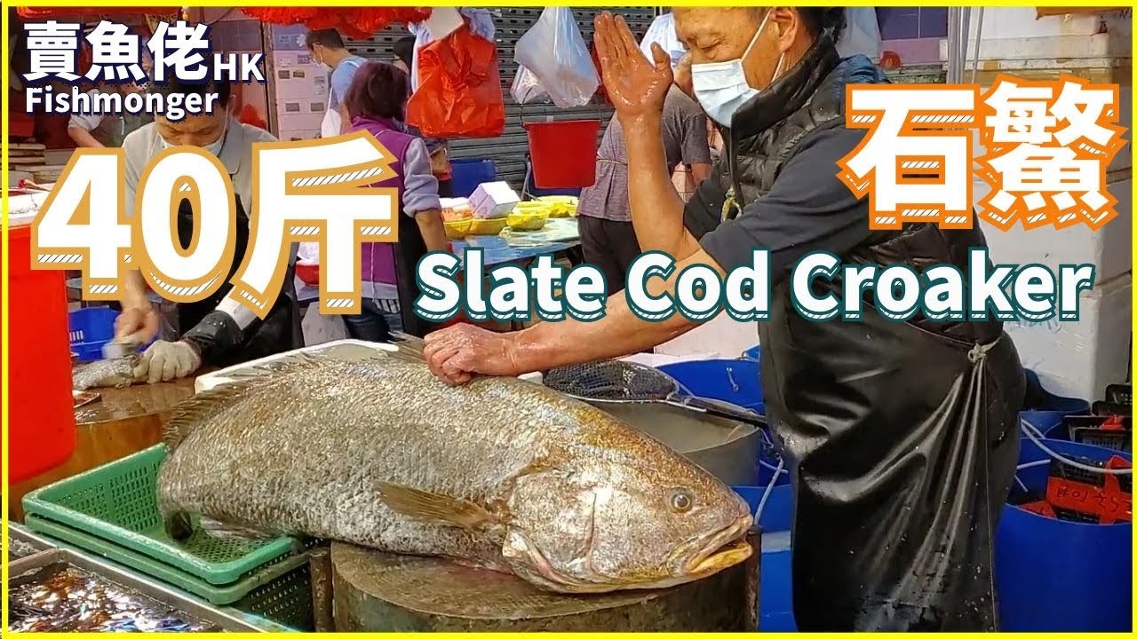 40斤10蚊兩 海石鰵魚 個膠成萬蚊要比返艇家【賣魚佬 OH! Seafood HK】｜西環魚王