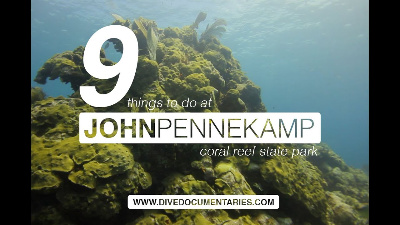 9 Things to do at John Pennekamp Coral Reef State Park