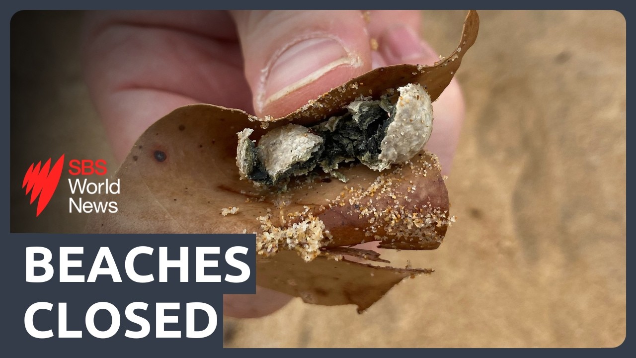 Nine beaches closed as mystery balls wash up again in Sydney